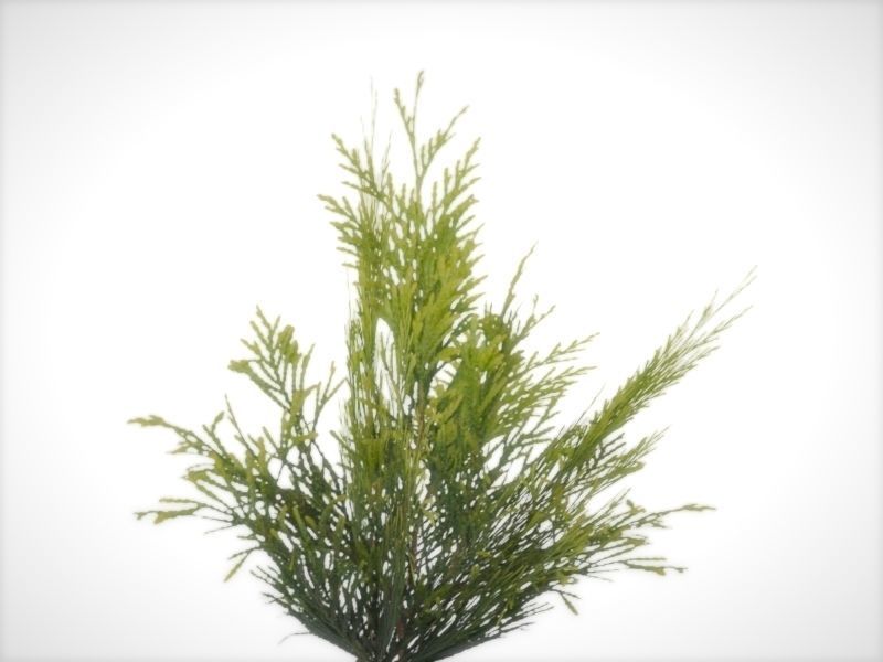 Viking Church Low-poly 3D model_8