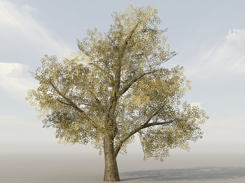 Vegetation Models Low-poly 3D model_19