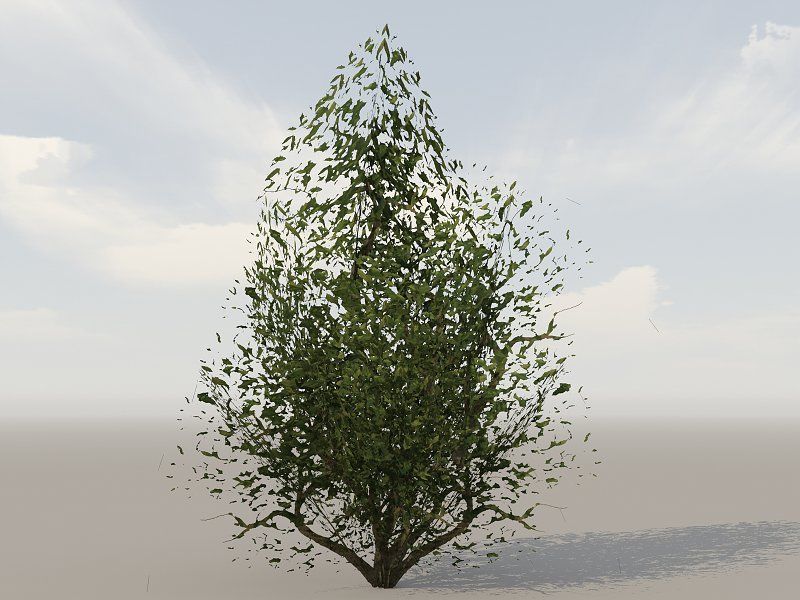 Vegetation Models Low-poly 3D model_2