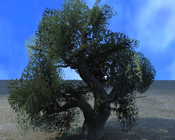 Vegetation Models Low-poly 3D model_5