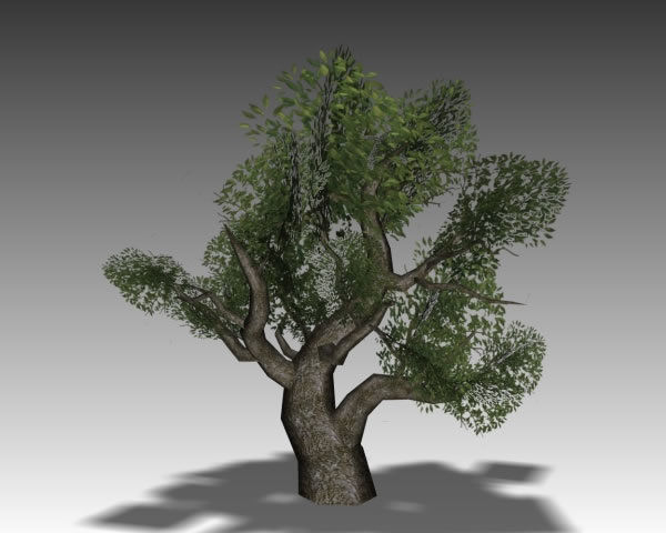 Vegetation Models Low-poly 3D model_3