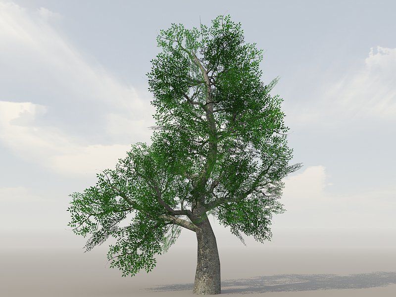 Vegetation Models Low-poly 3D model_10