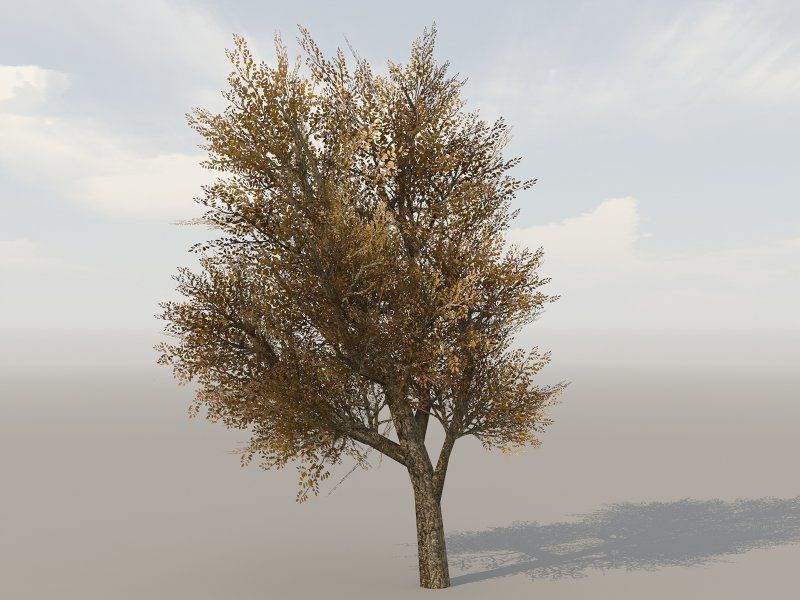 Vegetation Models Low-poly 3D model_16