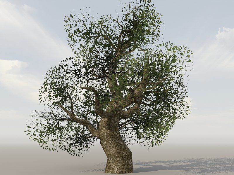 Vegetation Models Low-poly 3D model_6