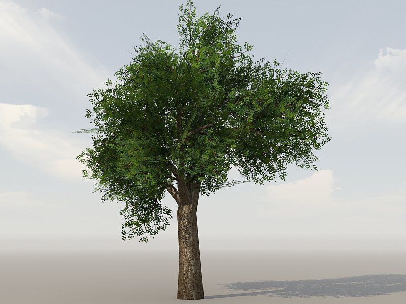 Vegetation Models Low-poly 3D model_4