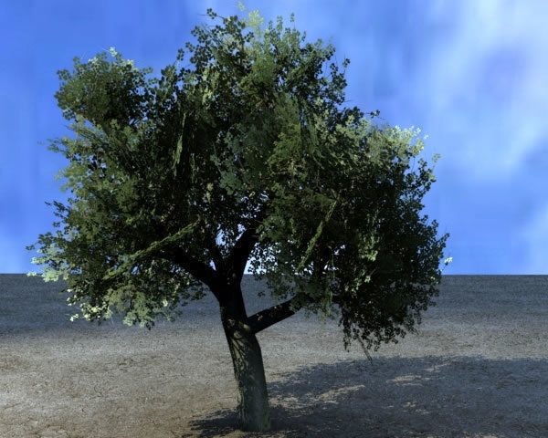 Vegetation Models Low-poly 3D model_18