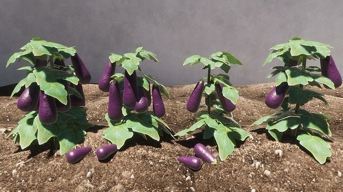 Vegetable Plants Update Low-poly 3D model 2