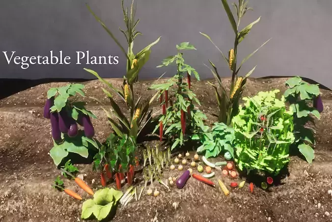 Vegetable Plants Update Low-poly 3D model