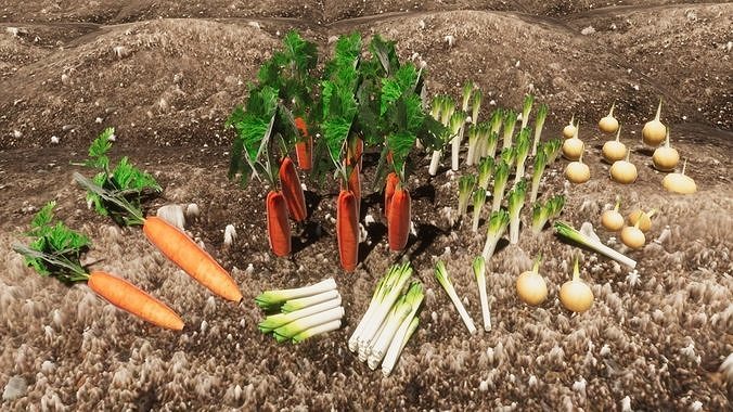 Vegetable Plants Update Low-poly 3D model 6