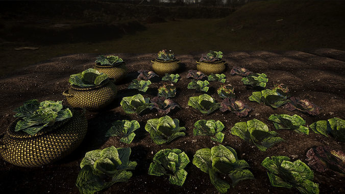 Vegetable Plants 2 Update Low-poly 3D model 7