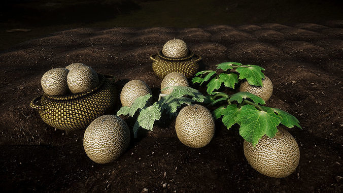 Vegetable Plants 2 Update Low-poly 3D model 4
