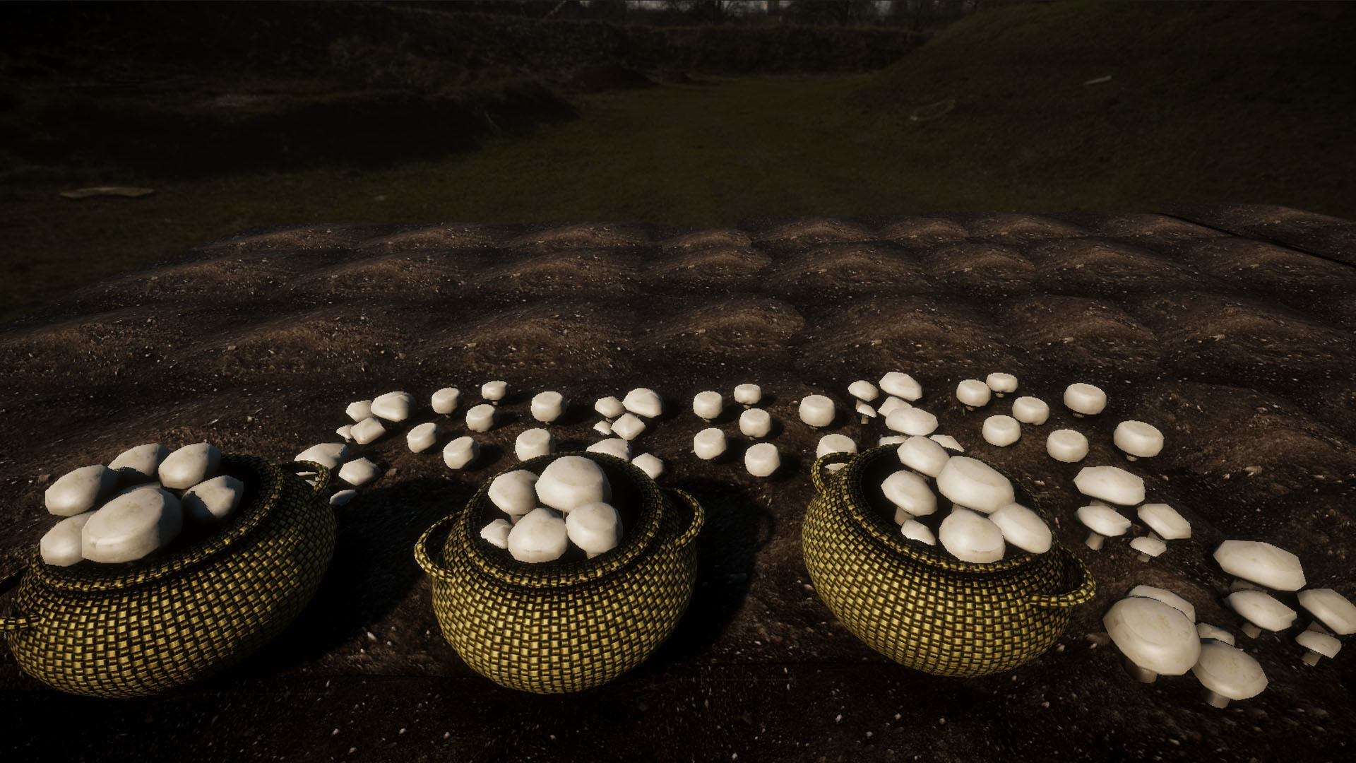 Vegetable Plants 2 Update Low-poly 3D model_8