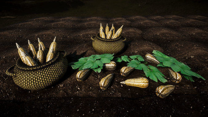 Vegetable Plants 2 Update Low-poly 3D model 5