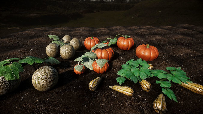 Vegetable Plants 2 Update Low-poly 3D model 2