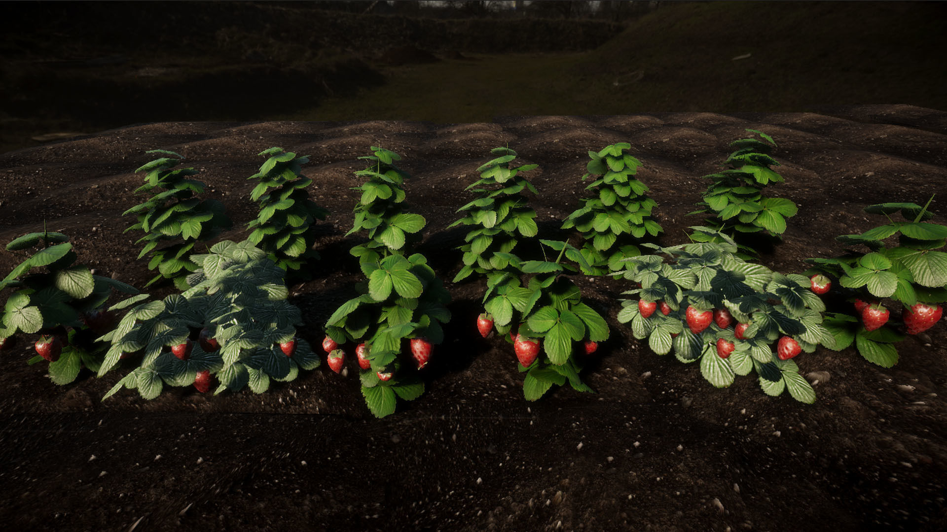 Vegetable Plants 2 Update Low-poly 3D model_7