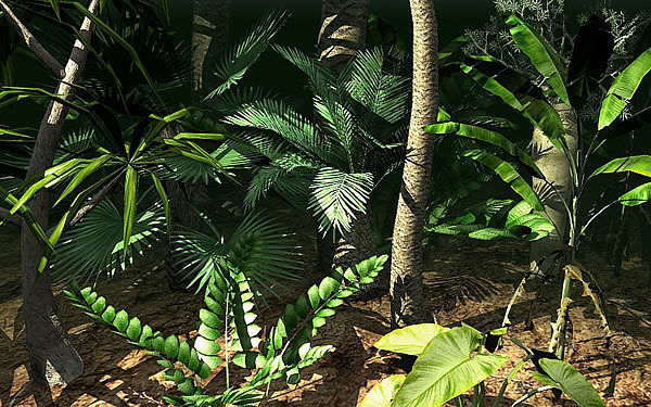 Tropical Models Low-poly 3D model_3