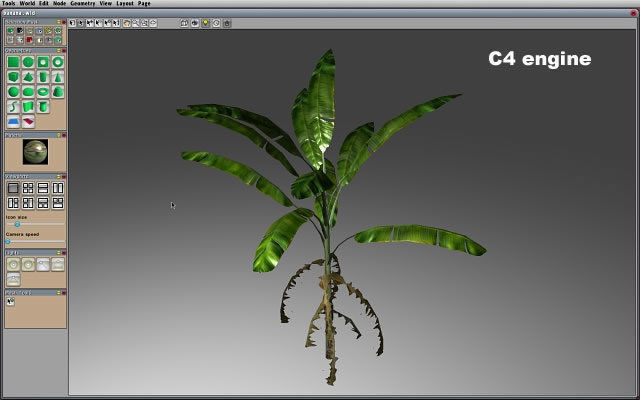 Tropical Models Low-poly 3D model_15