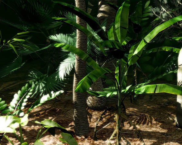 Tropical Models Low-poly 3D model_13