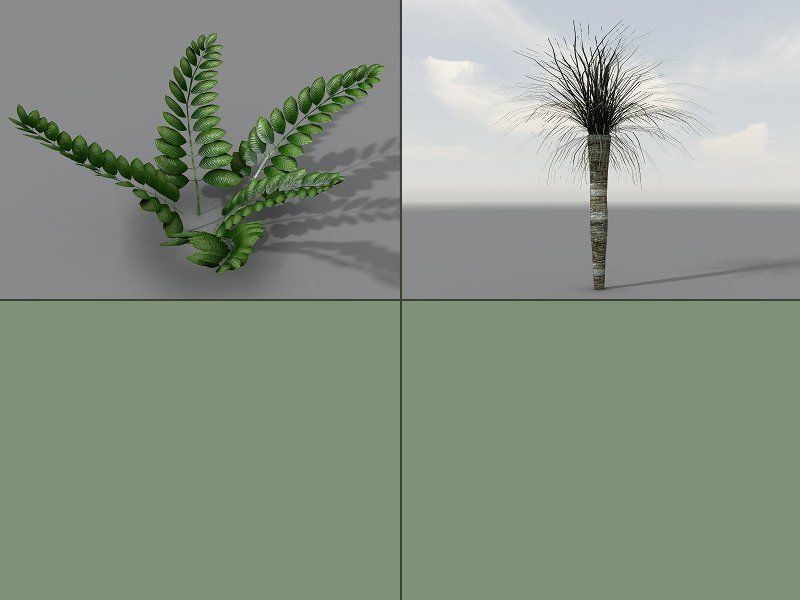 Tropical Models Low-poly 3D model_14