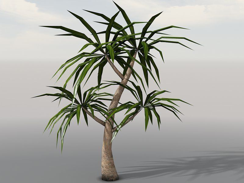 Tropical Models Low-poly 3D model_6