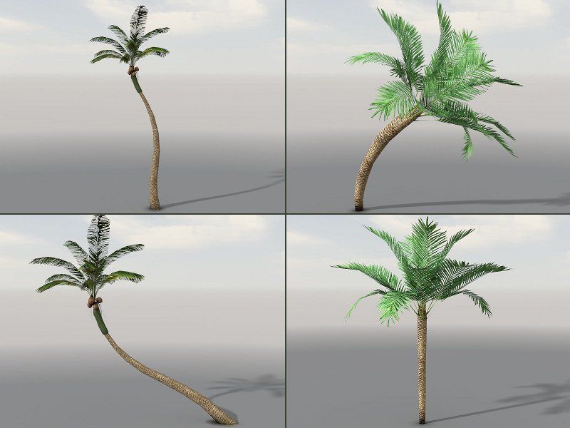 Tropical Models Low-poly 3D model_9