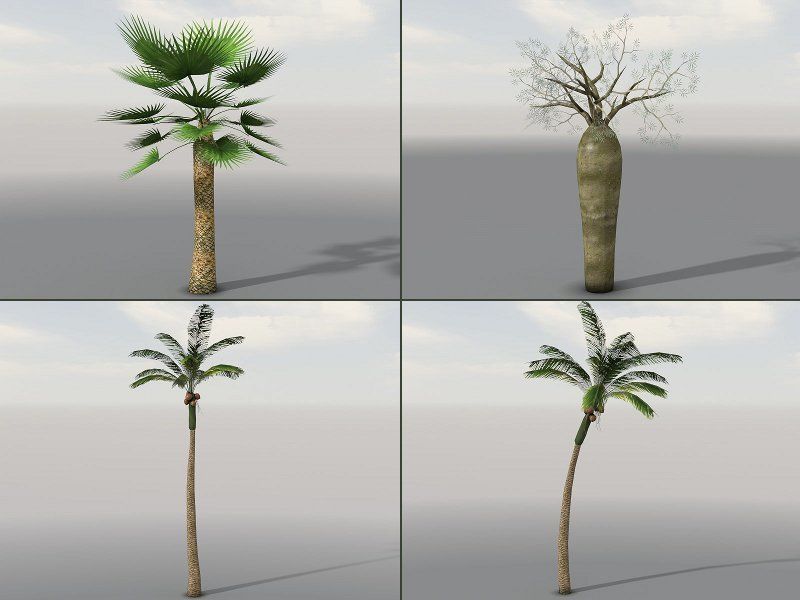 Tropical Models Low-poly 3D model_5