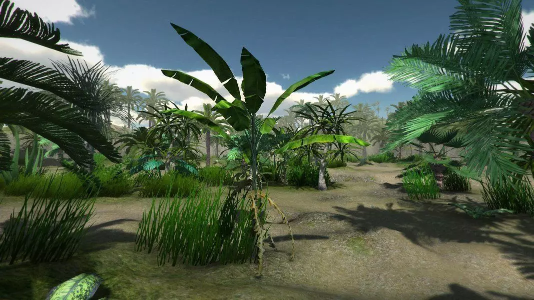 Tropical Models Low-poly 3D model_0