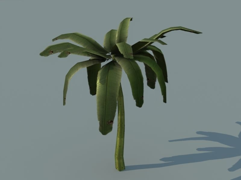 Tiki Island Updated Low-poly 3D model_33