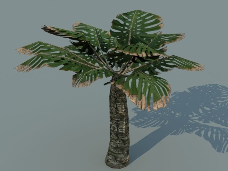 Tiki Island Updated Low-poly 3D model_28