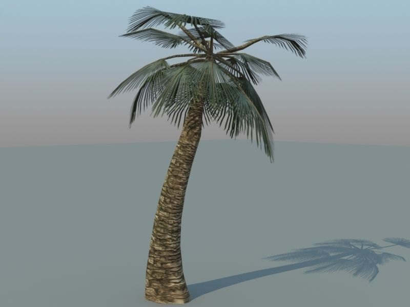 Tiki Island Updated Low-poly 3D model_32