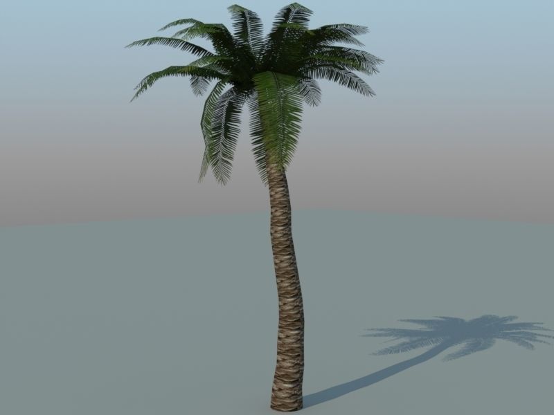 Tiki Island Updated Low-poly 3D model_34