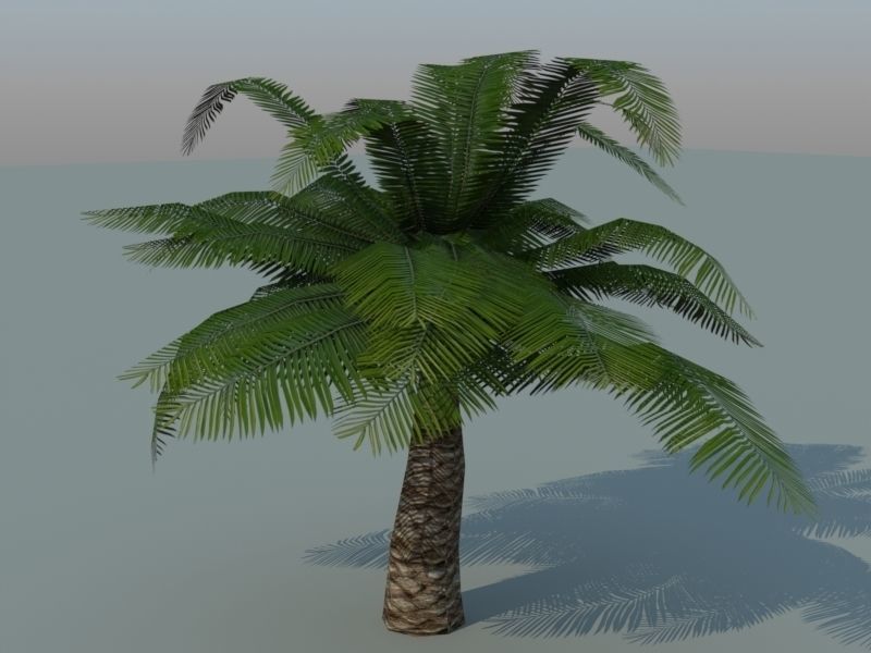 Tiki Island Updated Low-poly 3D model_36