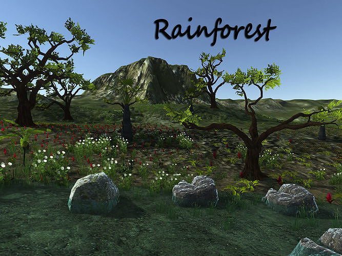 Rain forest  Low-poly 3D model