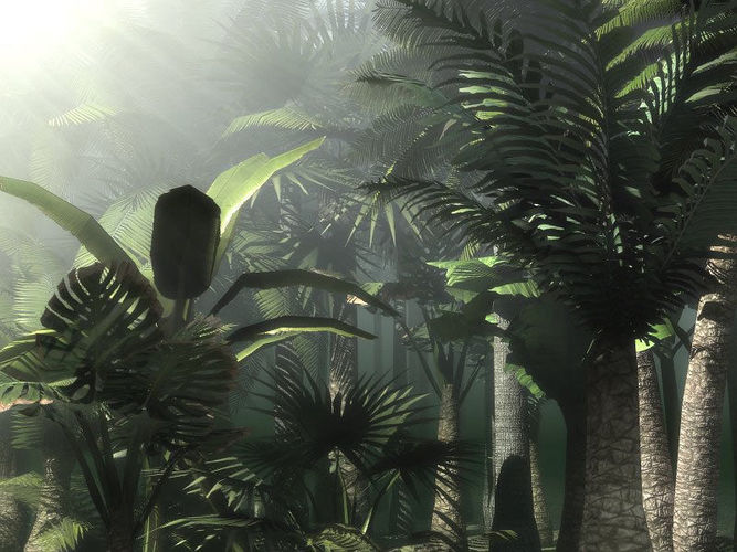 Palms tropical forest with palm trees Low-poly 3D model