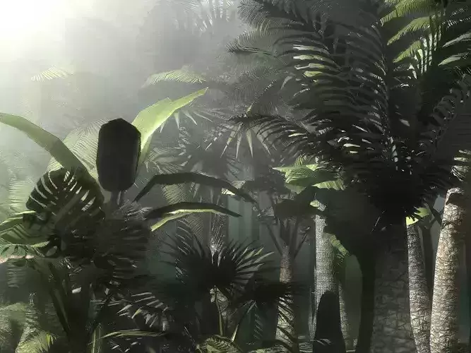 Palms tropical forest with palm trees