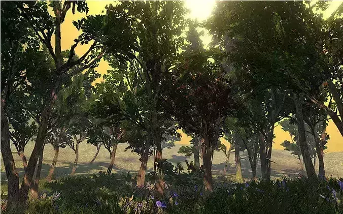 Northern Forrest Vegetation