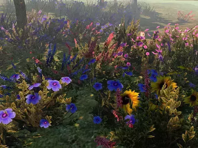 Flowers 1 wildflowers in forest