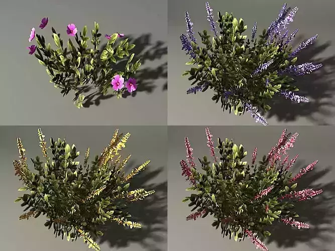 Flowers 1 wildflowers in forest