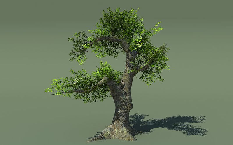 Fantasy Trees 2 Low-poly 3D model_14