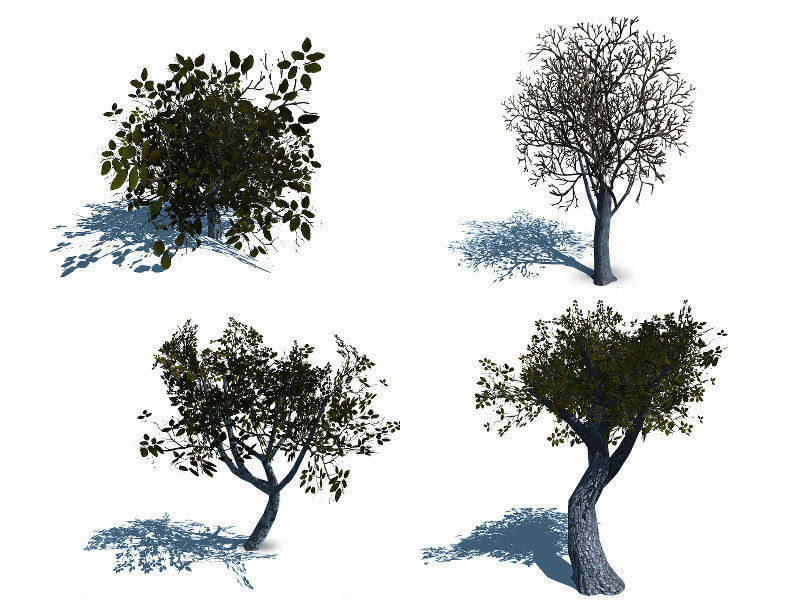Forest Lake  Low-poly 3D model_11