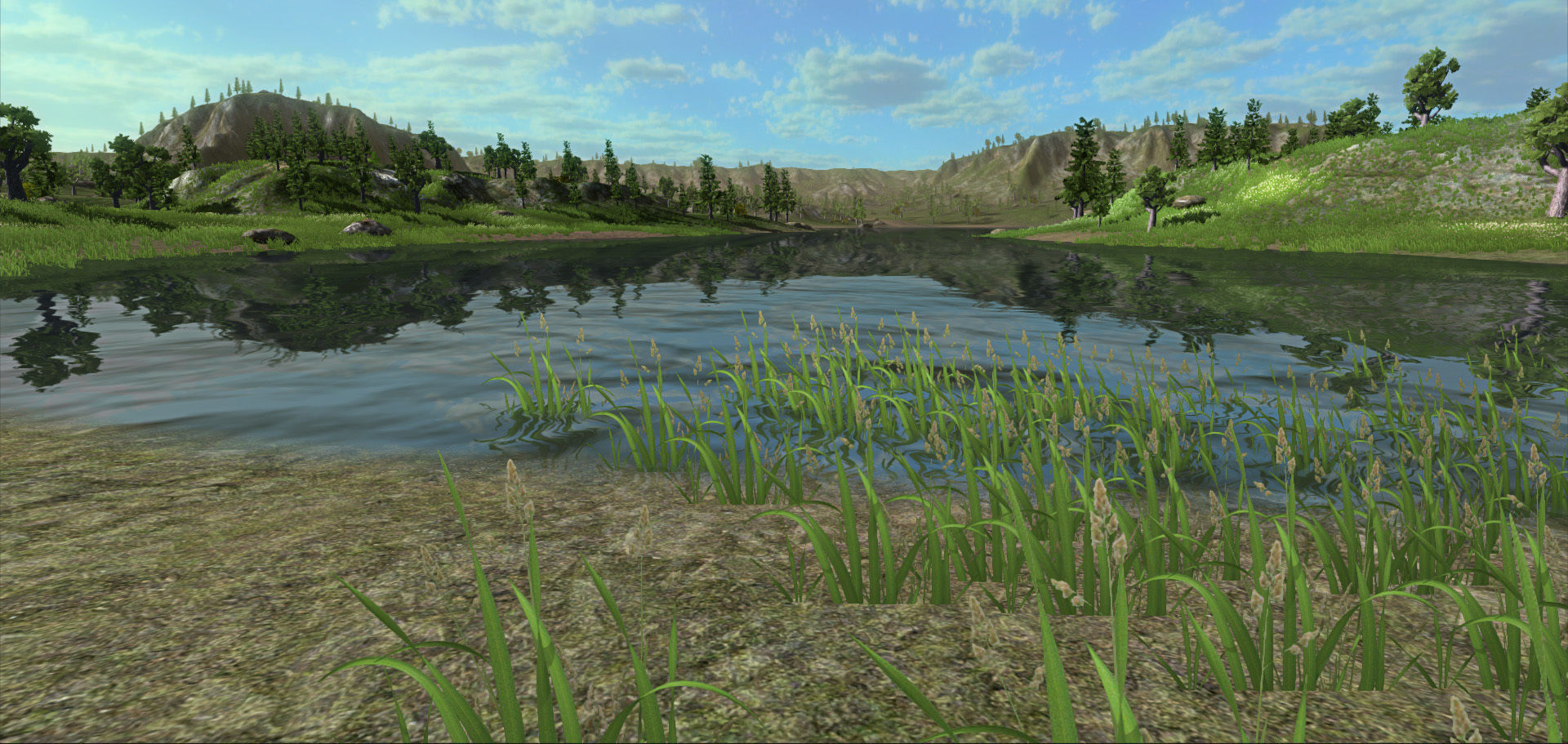 Forest Lake  Low-poly 3D model_2
