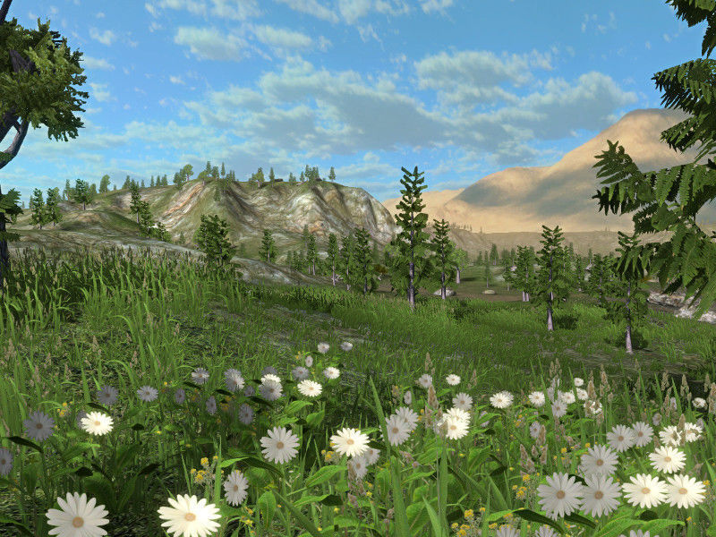 Forest Lake  Low-poly 3D model_7