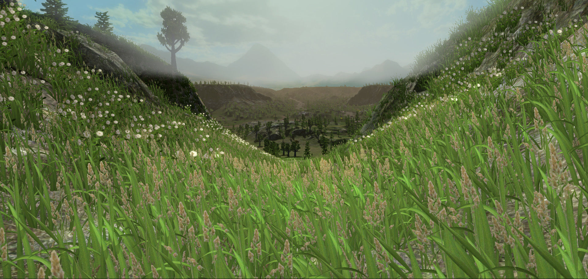 Forest Lake  Low-poly 3D model_14