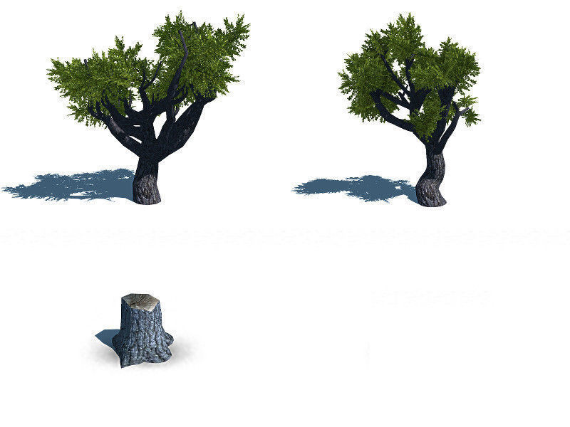 Forest Lake  Low-poly 3D model_12