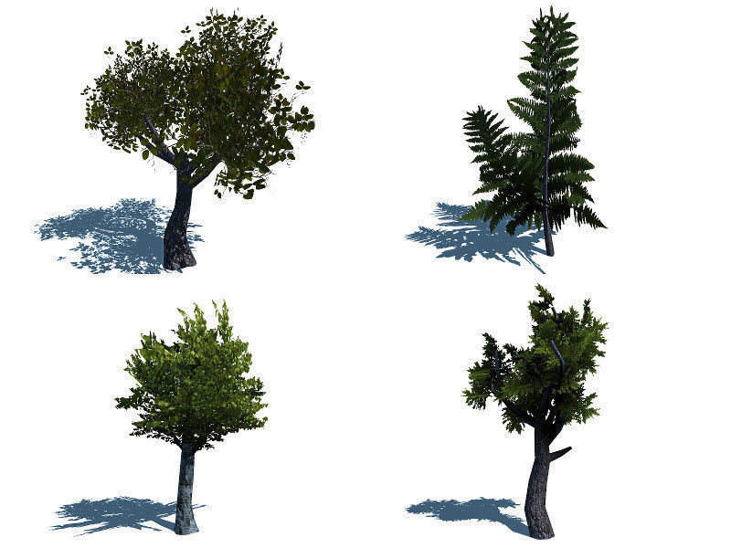 Forest Lake  Low-poly 3D model_10