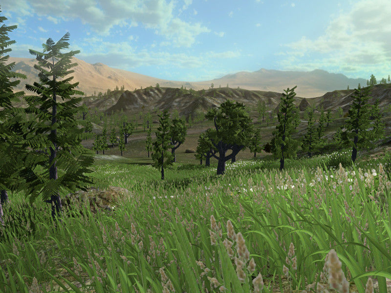 Forest Lake  Low-poly 3D model_23