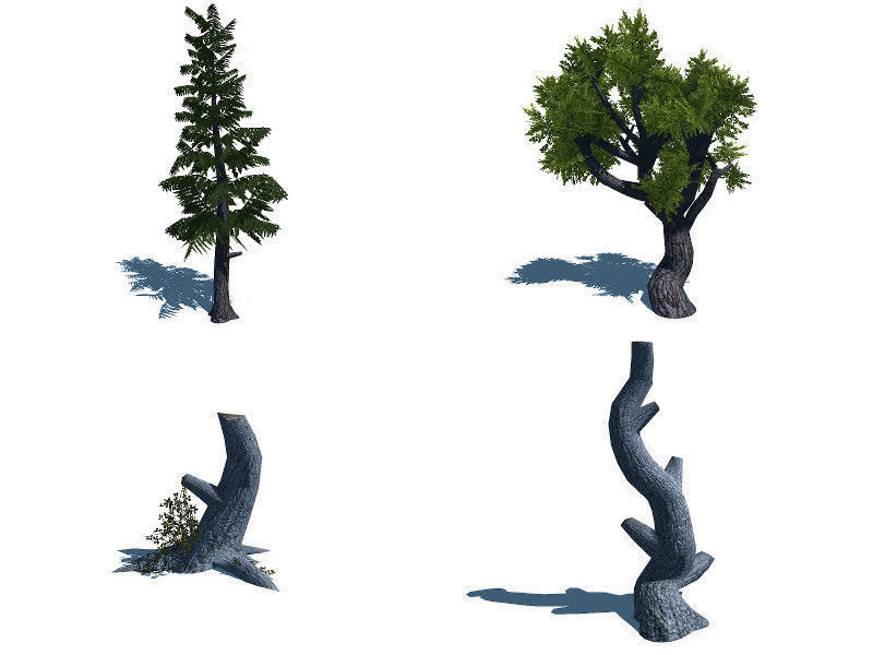 Forest Lake  Low-poly 3D model_13