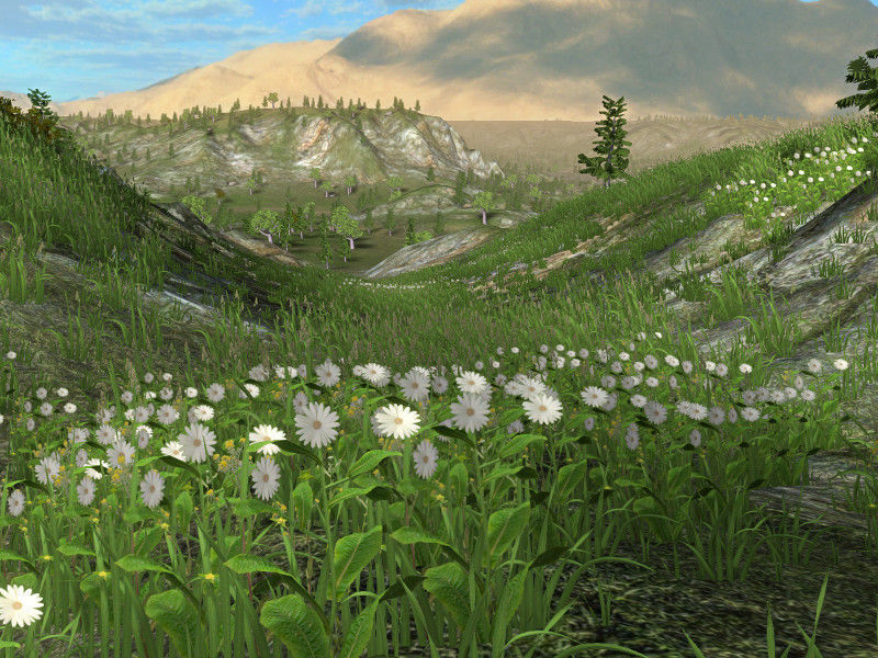 Forest Lake  Low-poly 3D model_9