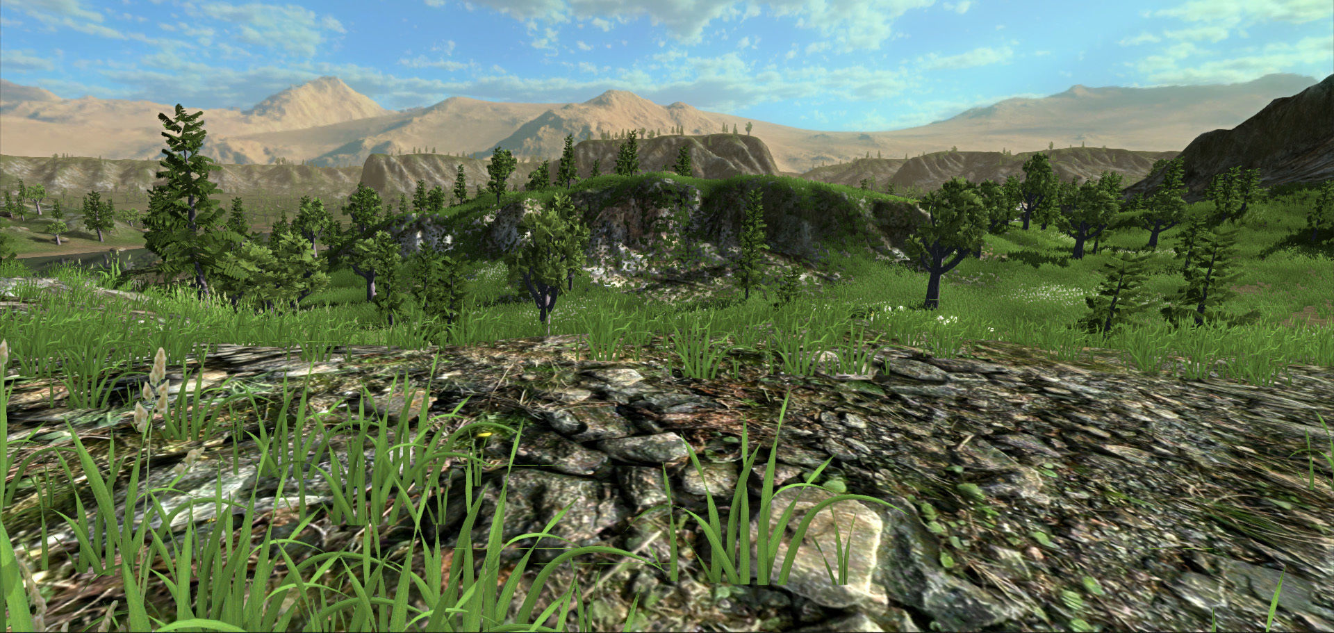 Forest Lake  Low-poly 3D model_16