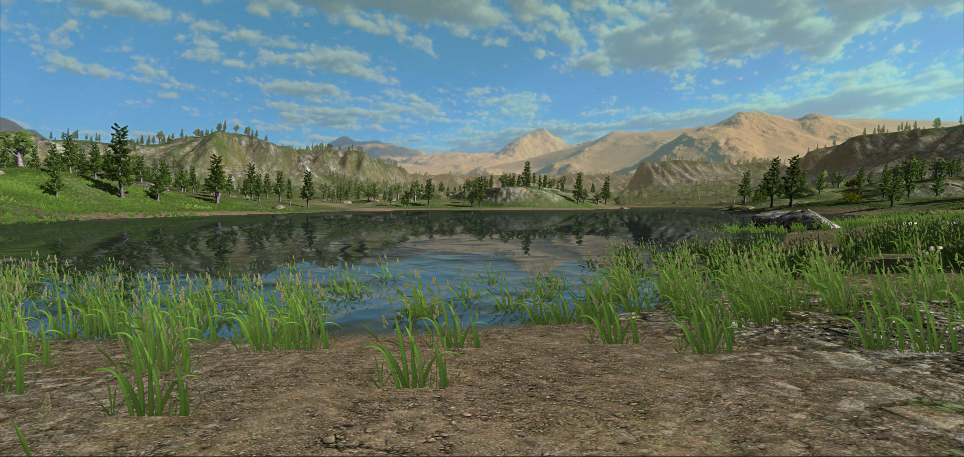 Forest Lake  Low-poly 3D model_19